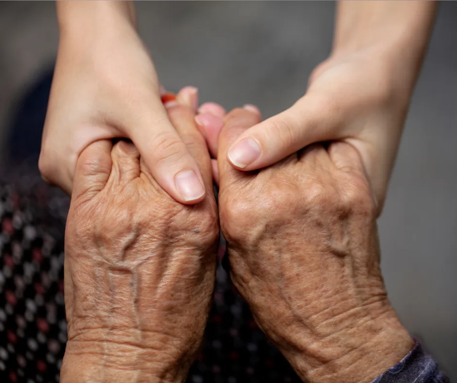 Wonderful Choices NDIS Disability Support for aged care clients Eight Mile Plains Brisbane
